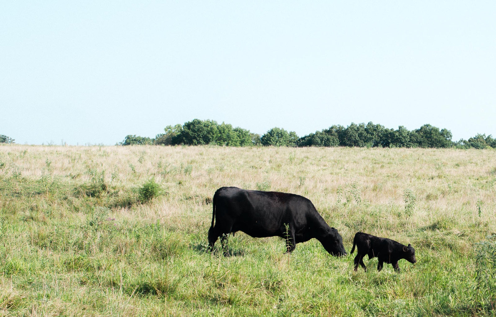 New Hartford Farm Co photo 2
