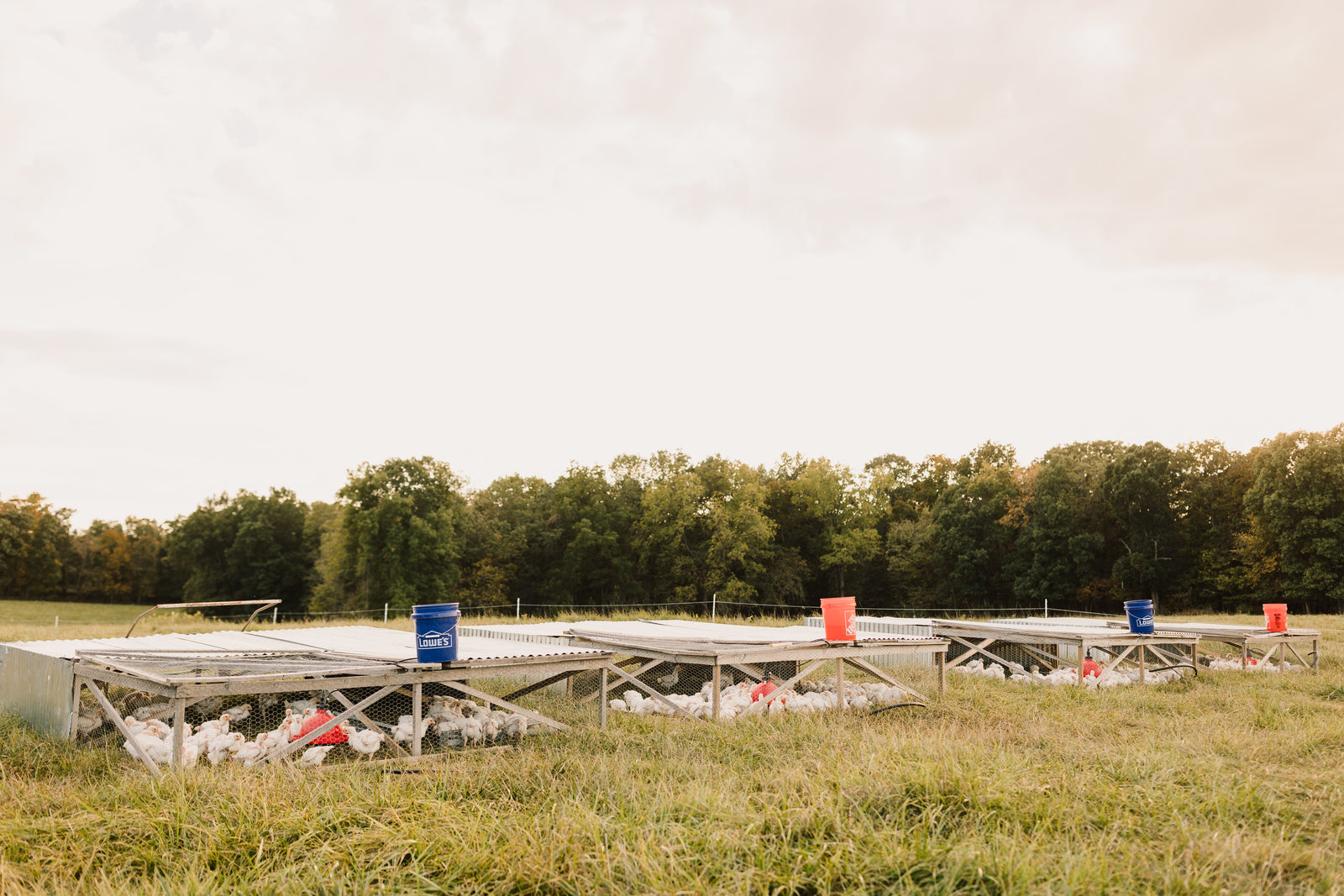 New Hartford Farm Co photo 14